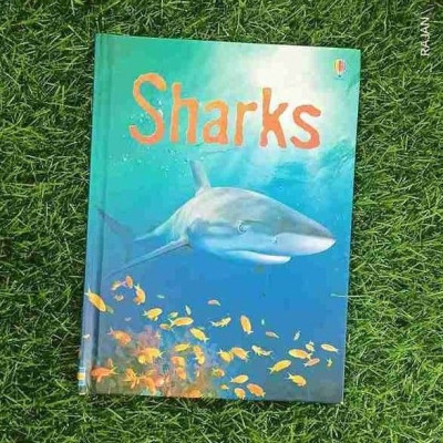 Usborne Beginners - Sharks - Catriona Clarke
